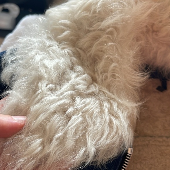 Rag & Bone shearling and denim jacket 100% real shearling internal and external - Picture 12 of 14